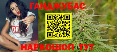 гашик Камышлов