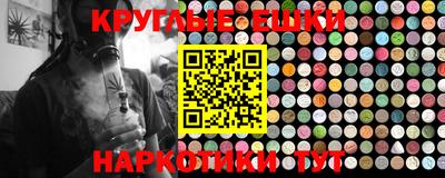 гашик Камышлов