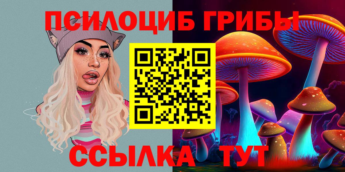 Красноярск  Псилоцибиновые грибы MAGIC MUSHROOMS  Вход с VPN 