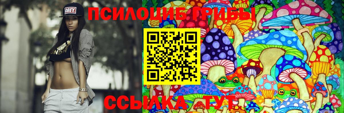 Псилоцибиновые грибы GOLDEN TEACHER Красноярск