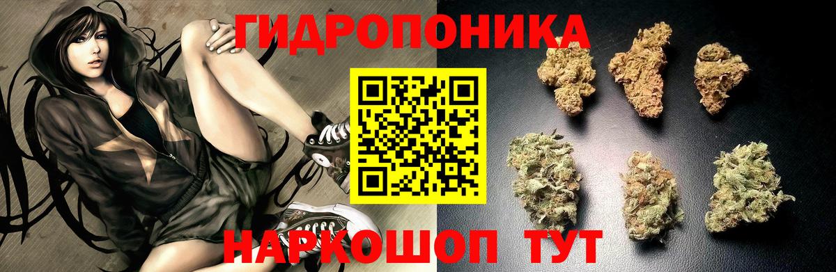 Канабис план Красноярск