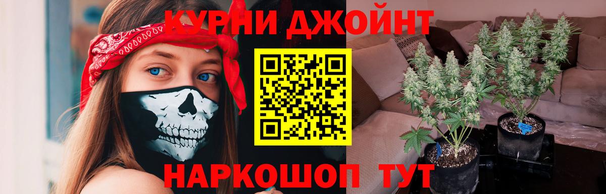 Бошки марихуана планчик  Вход с VPN  Бошки марихуана ГИДРОПОН  Красноярск  Шишки марихуана сатива 